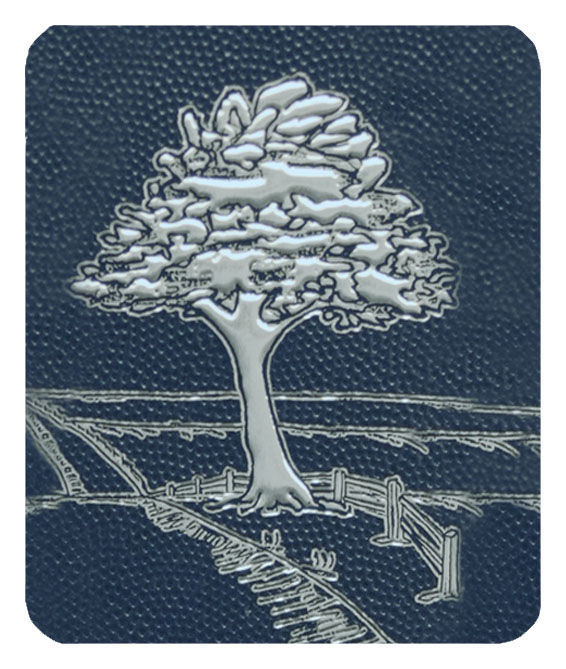 DF35 000 SL SH BL Tree with Fence PROOF